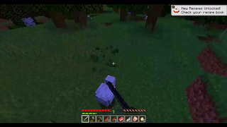 Casual Youtuber Streams Minecraft Anime Playthrough With Sexy Scenes